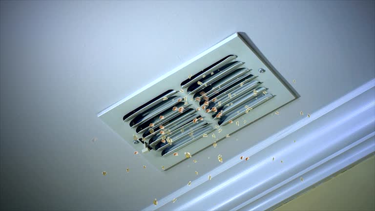 Best Professional Duct Cleaning Services  in Lockport, LA
