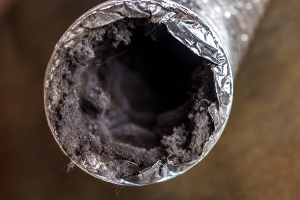 Best Air Duct Cleaning Company Near Me  in Lockport, LA